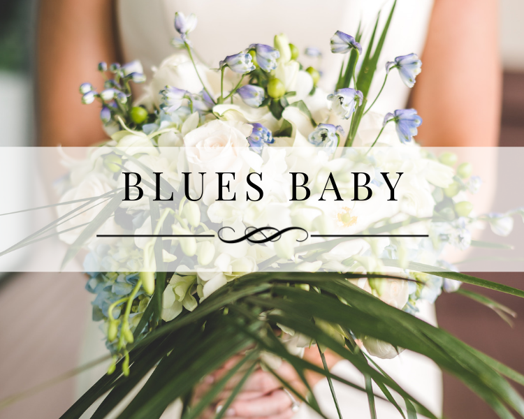 Blues Baby Portfolio Gallery