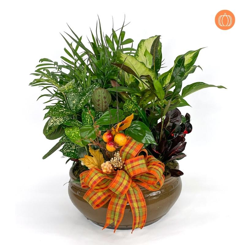 10" Fall Ceramic Dish Garden