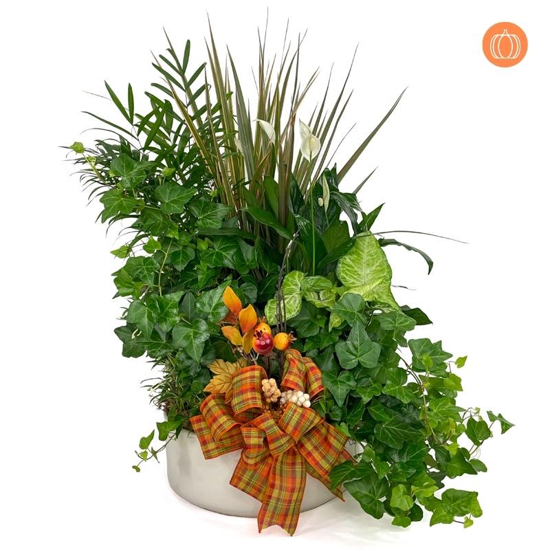 12" Fall Ceramic Dish Garden