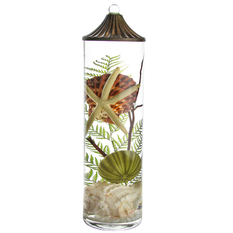 Lifetime Candle - Seashell XL Cylinder