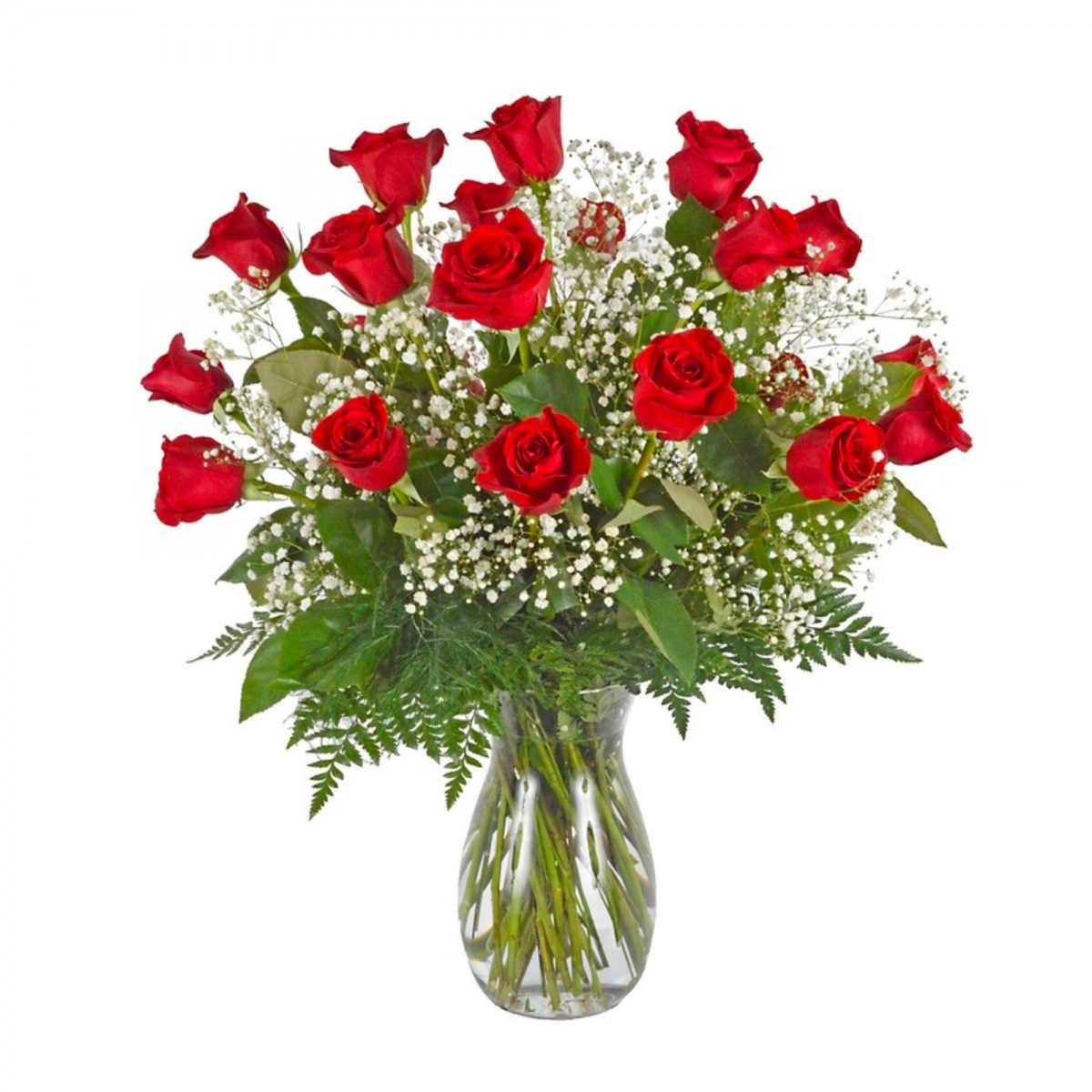 2 Dozen Roses Red