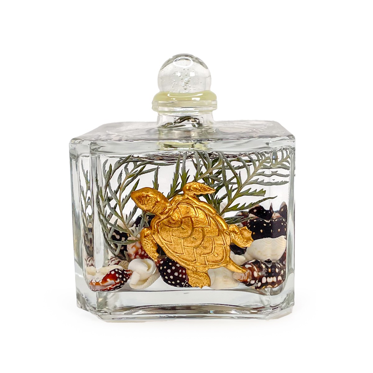 Lifetime Candle - Sea Turtle Cube