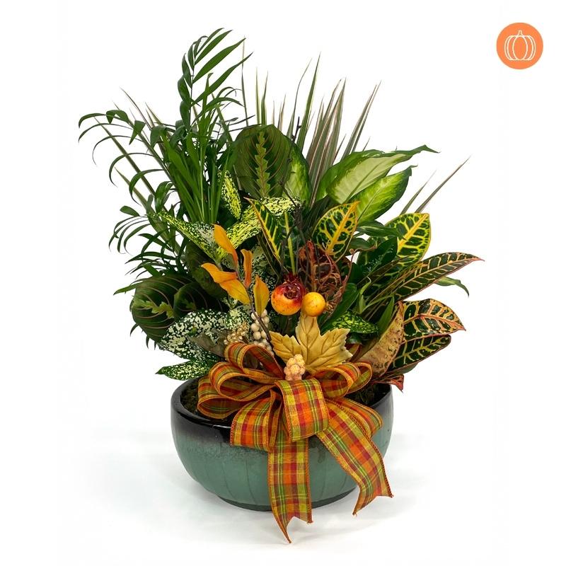 8" Fall Ceramic Dish Garden