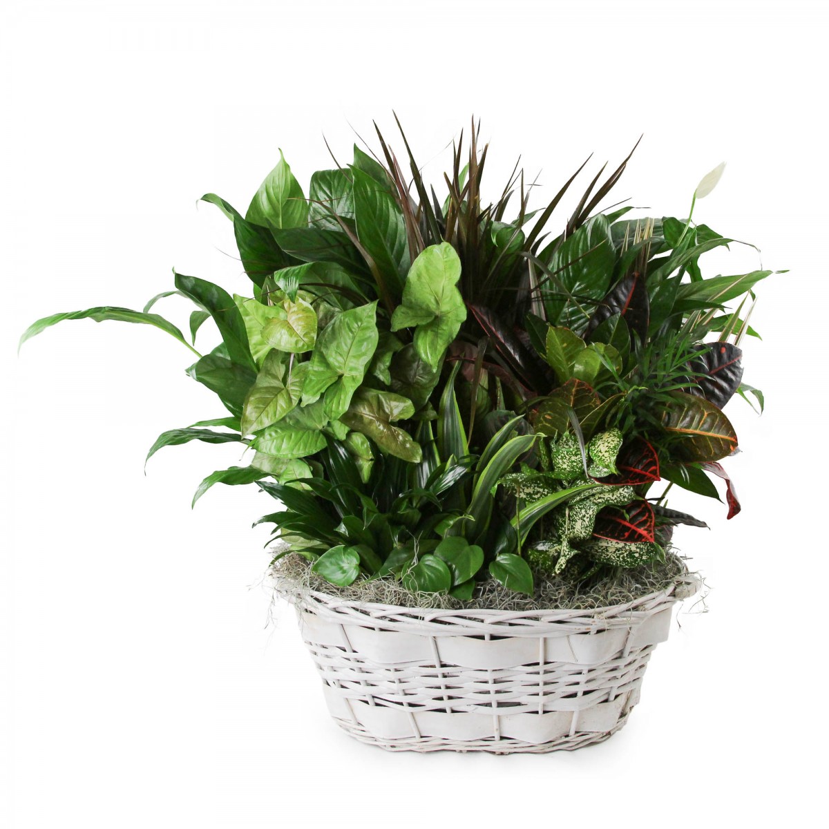 Extra Large Basket Garden
