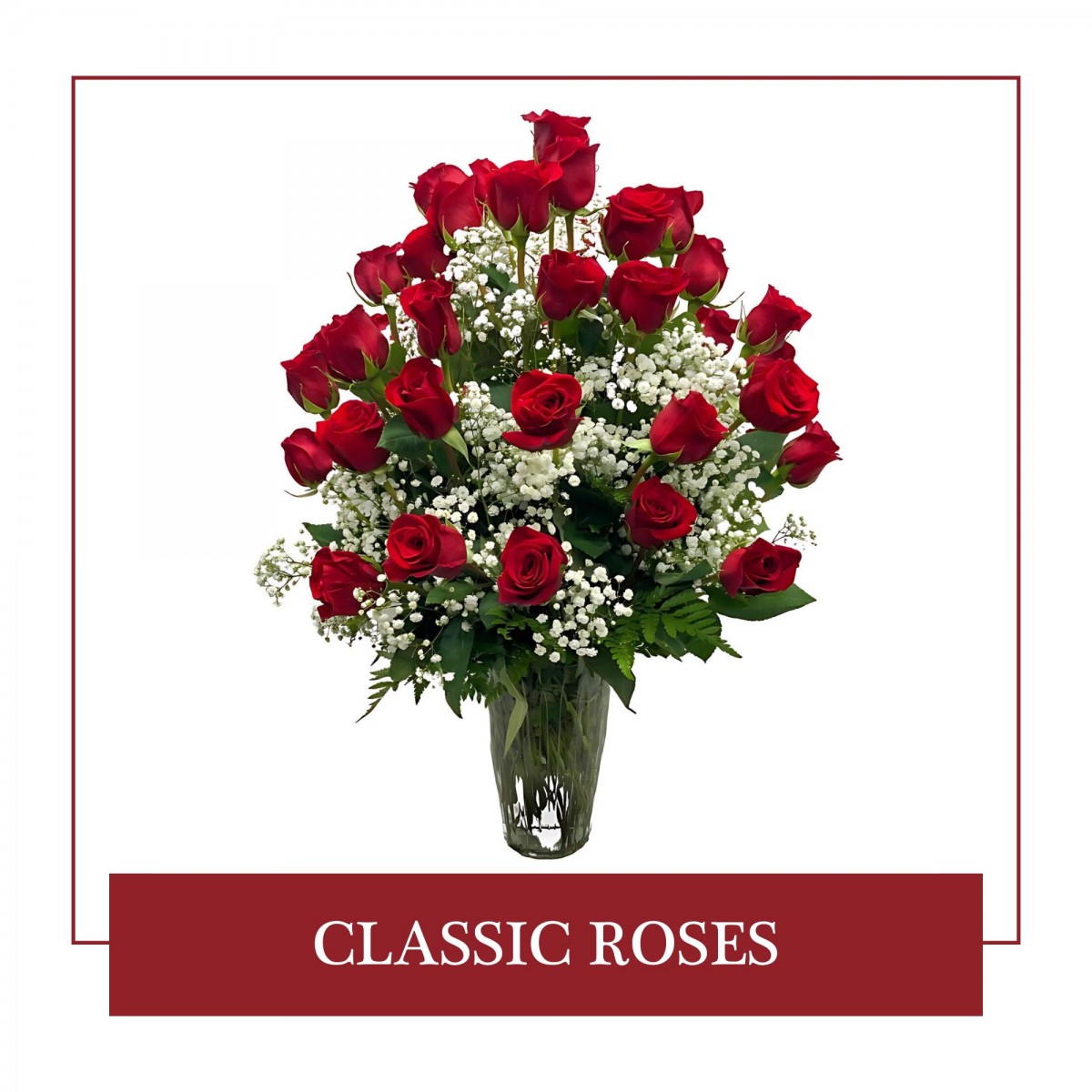 Classic Roses