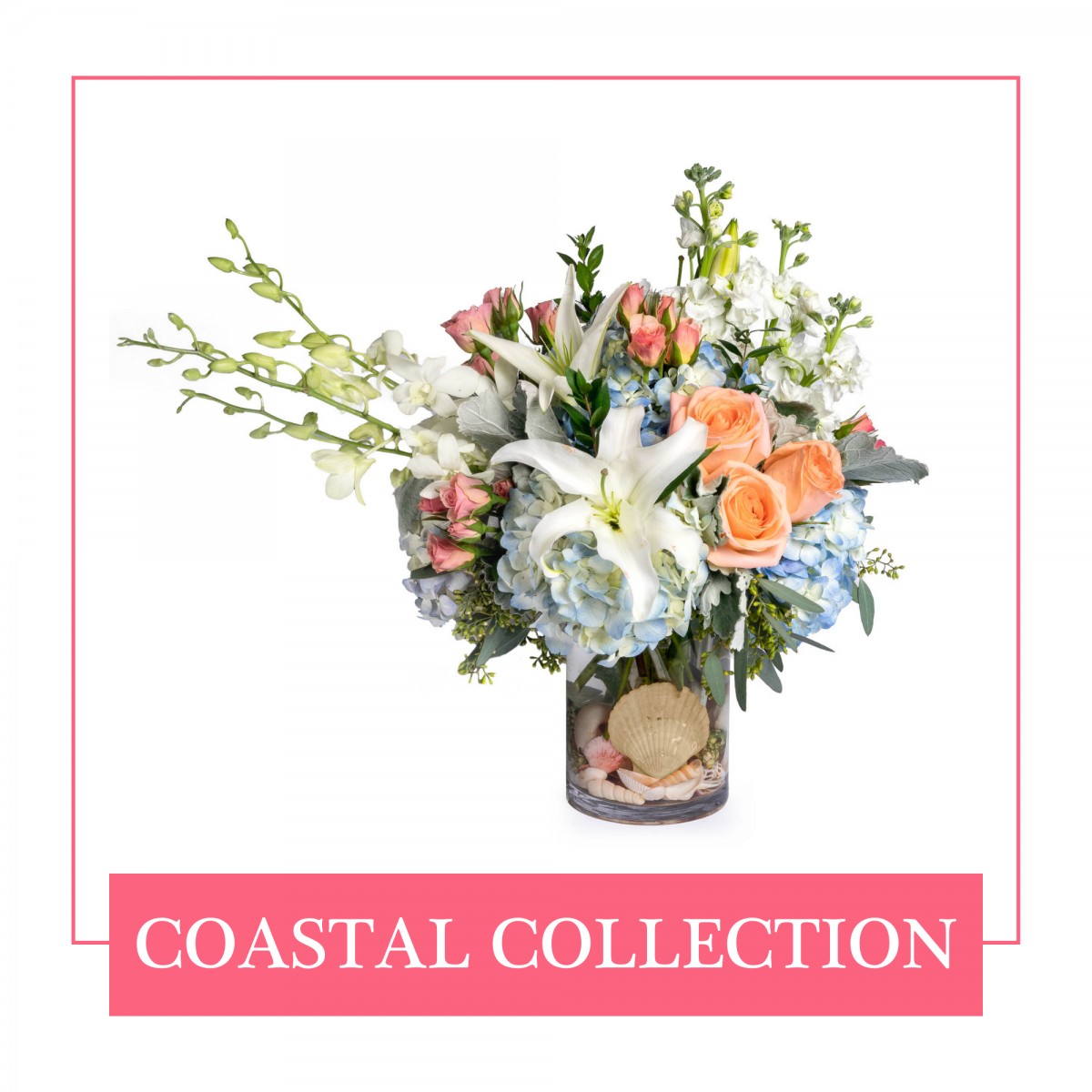 Coastal Inspired