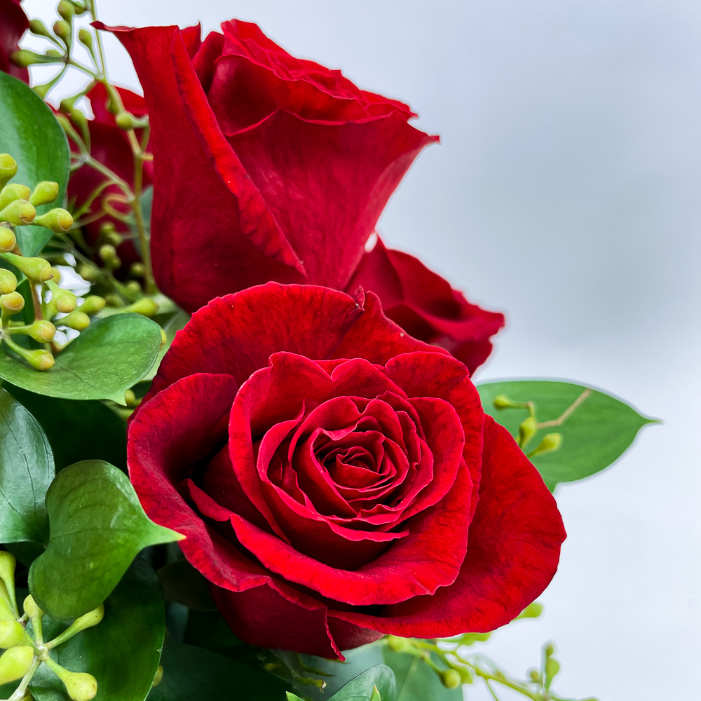 1 Dozen Modern Roses - Image 2