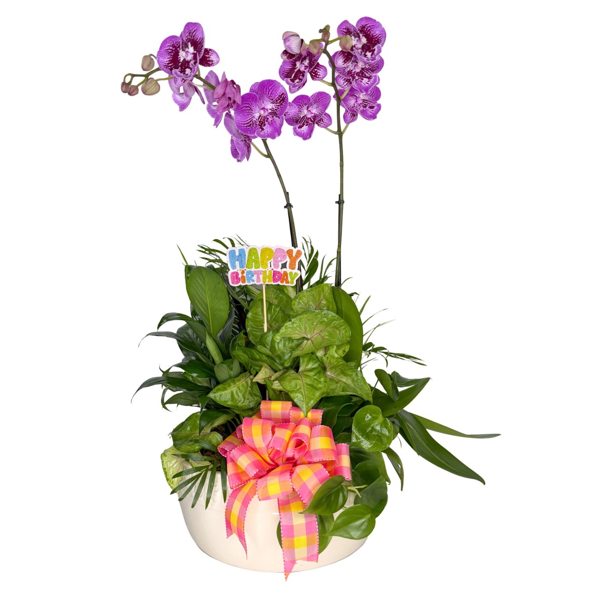Birthday Bloom Celebration - Image 3