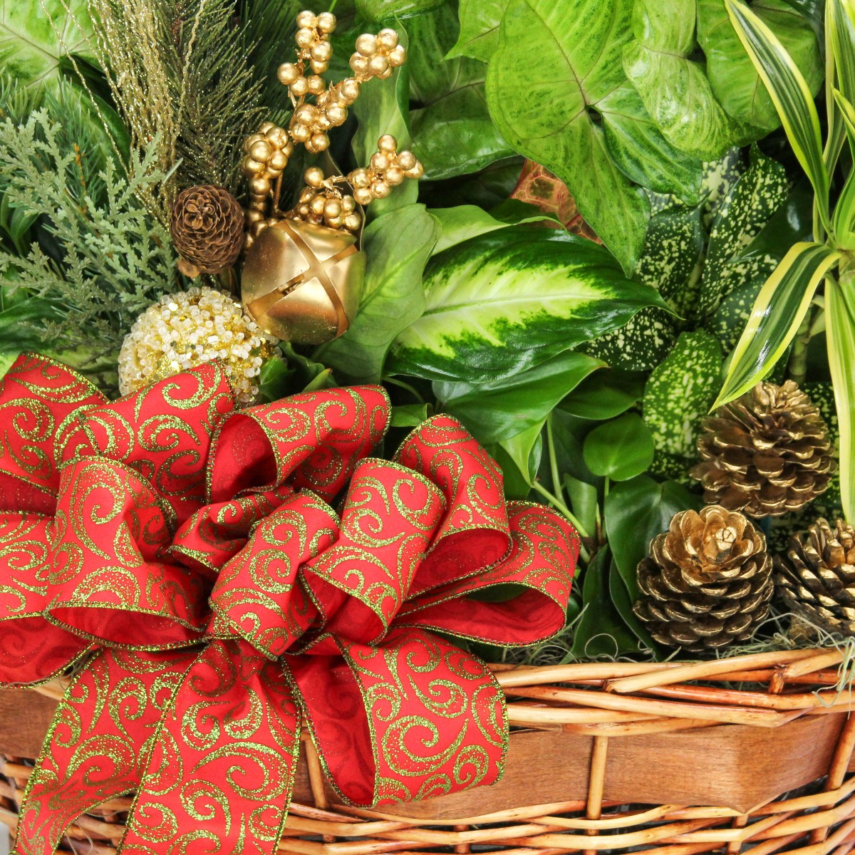 Holiday Greetings - Image 2