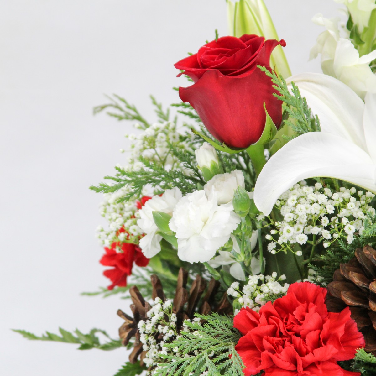 Brightly Shining - Image 2