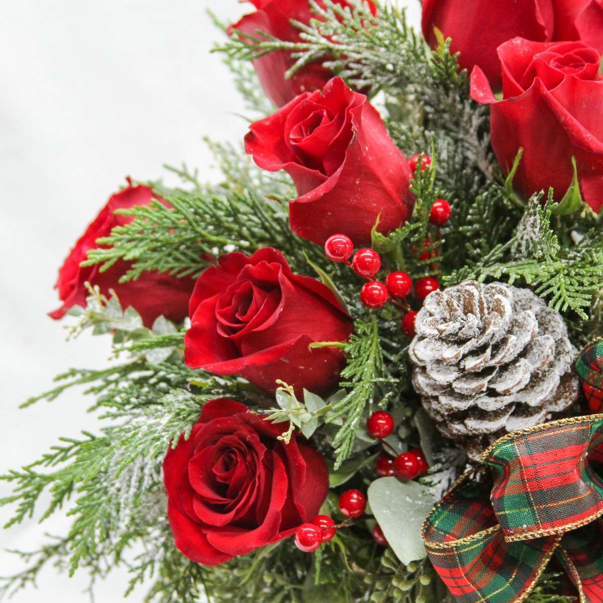 Under the Mistletoe - Image 3