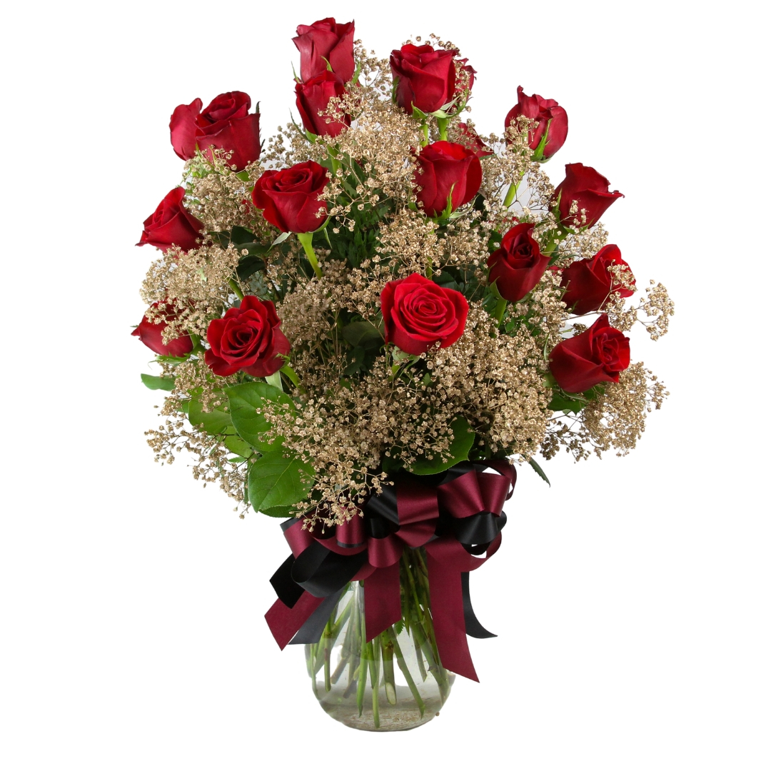 2 Dozen Roses Seminole Colors