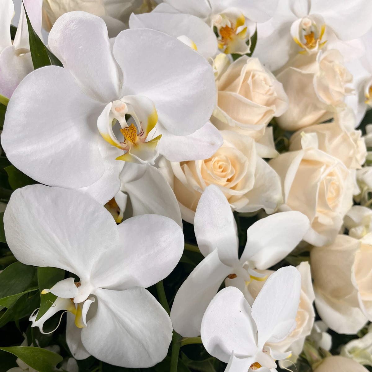 Heavenly Blossom Casket Spray - Image 2