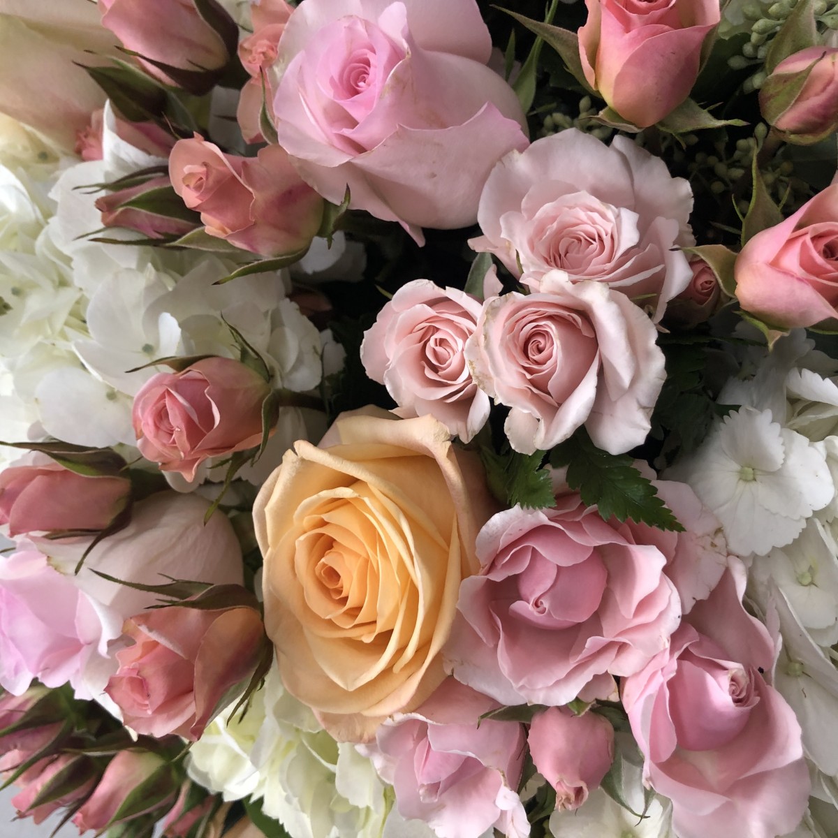 Pink Passion - Image 2