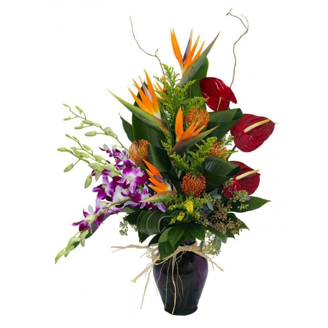 Tropical 5 Piece Set - Image 5