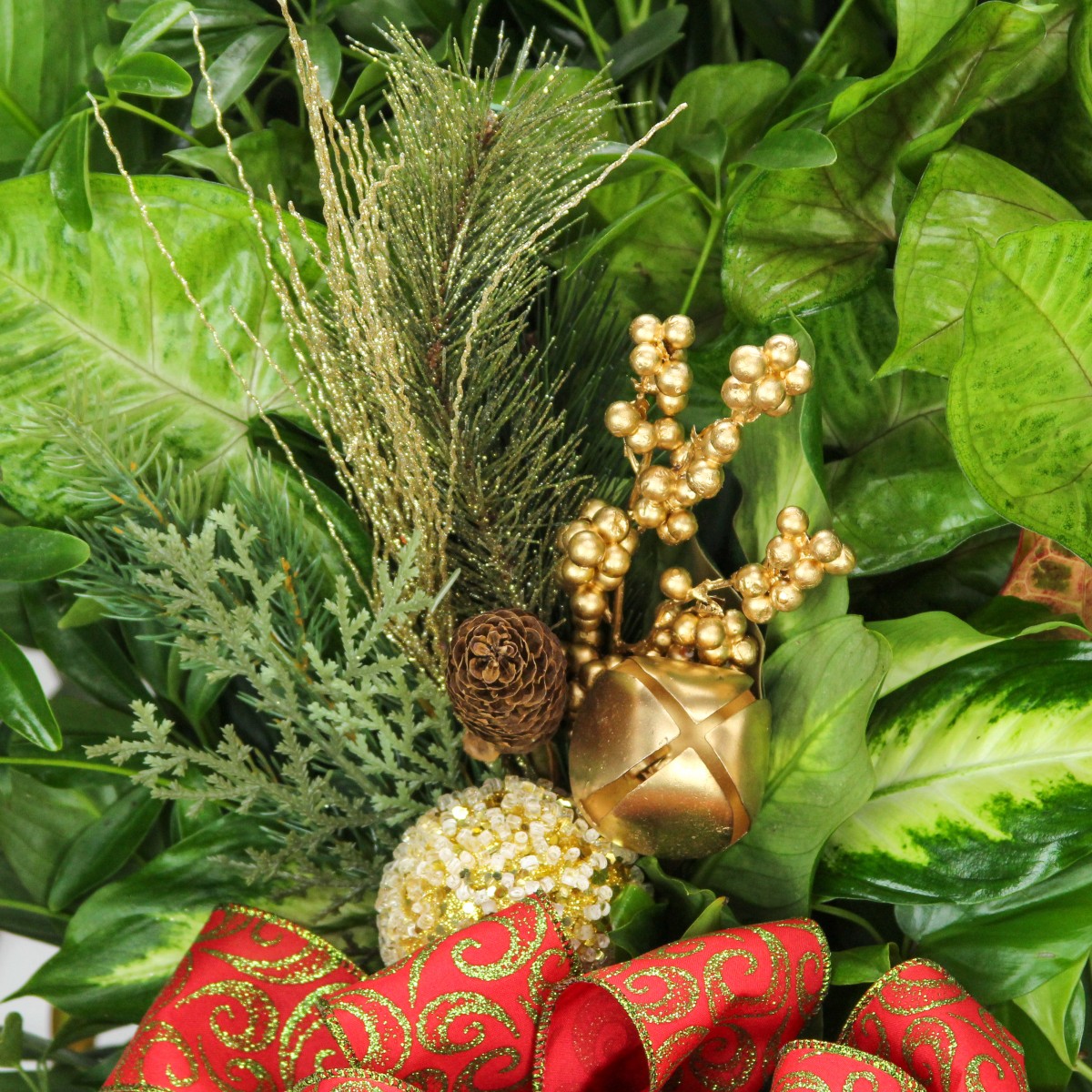 Holiday Greetings - Image 4