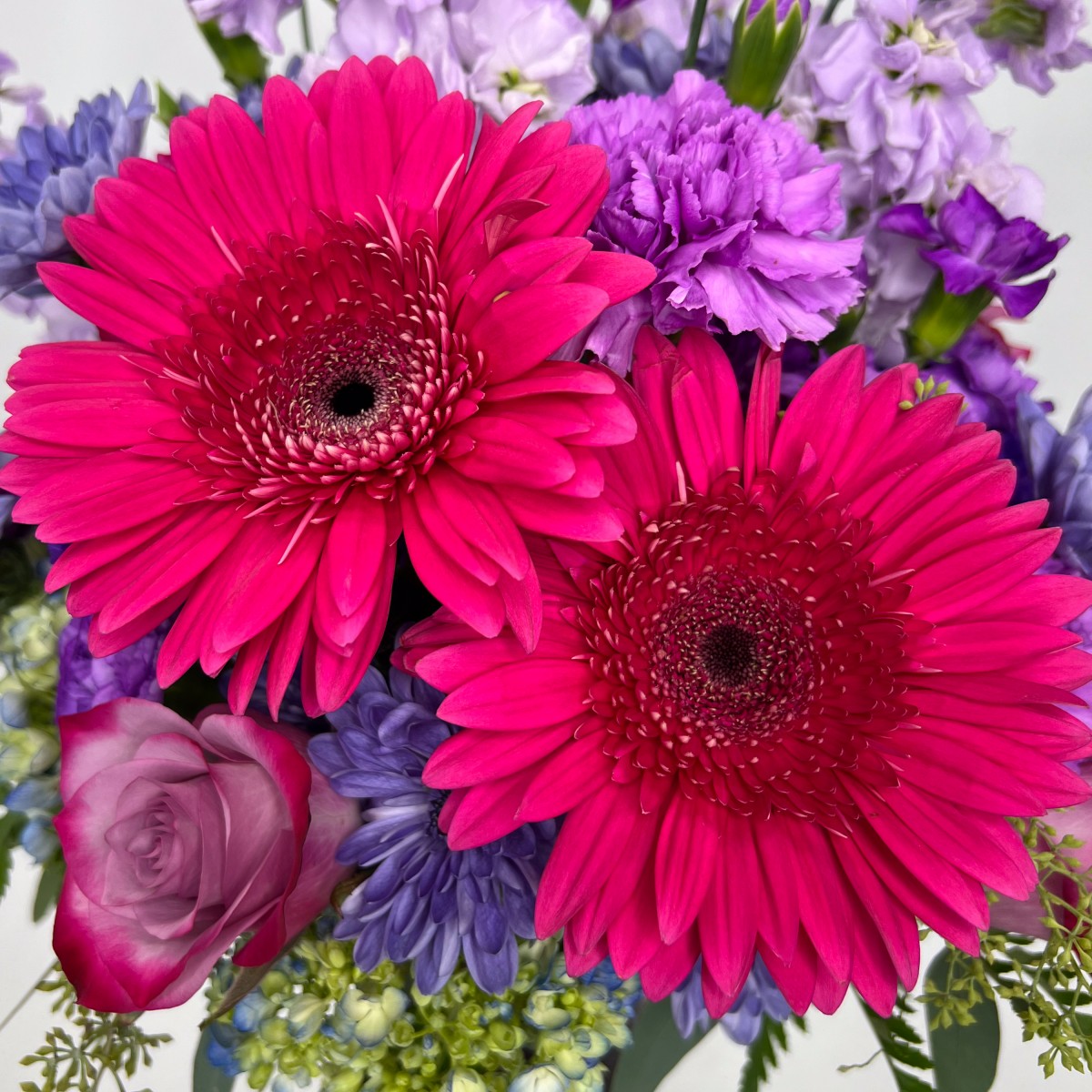 Plum Surprise - Image 3