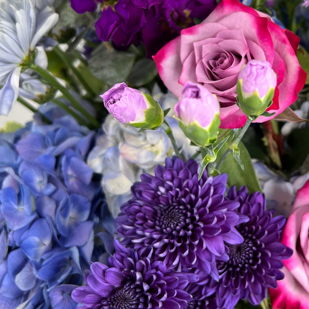 Lavender Dreams - Image 2
