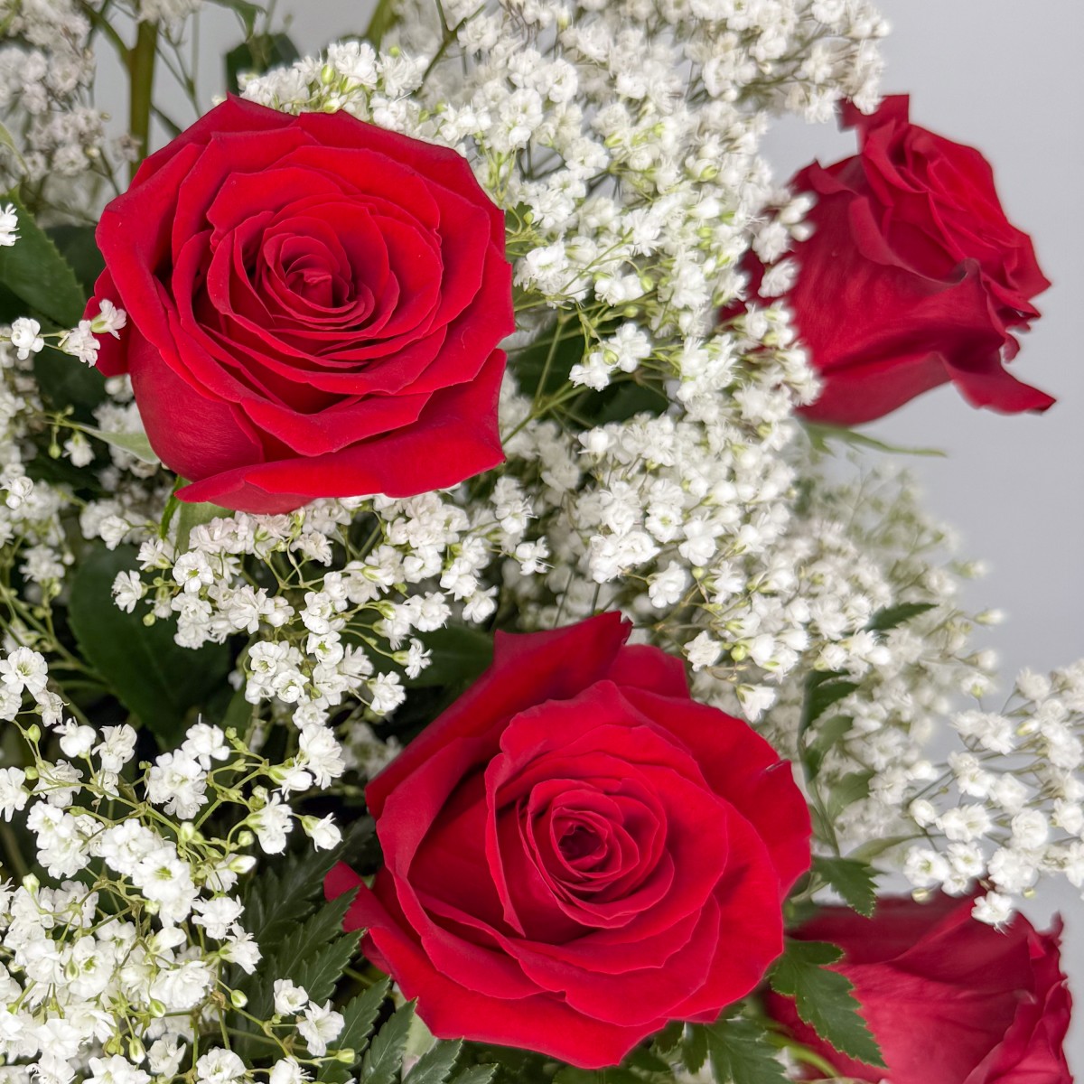1 Dozen Roses Red - Image 2