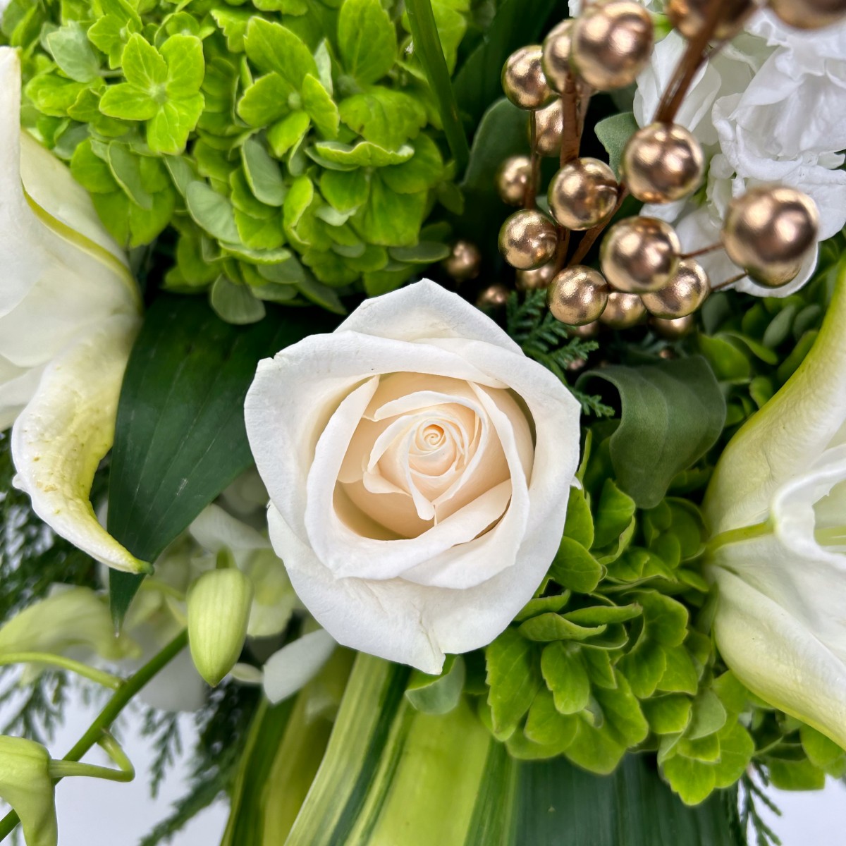 Holiday Bliss - Image 3