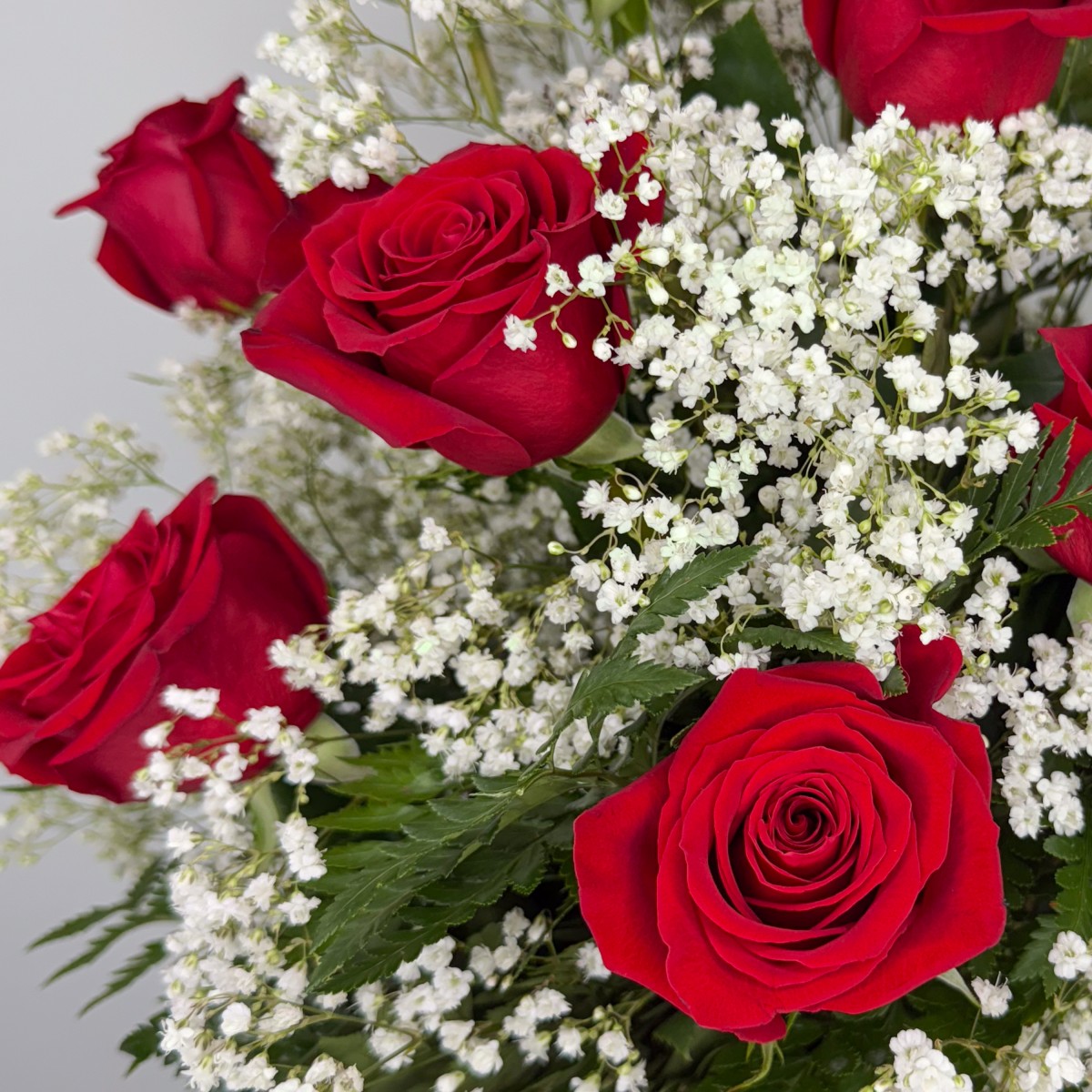 1 Dozen Roses Red - Image 3
