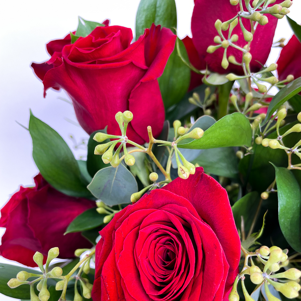 1 Dozen Modern Roses - Image 3