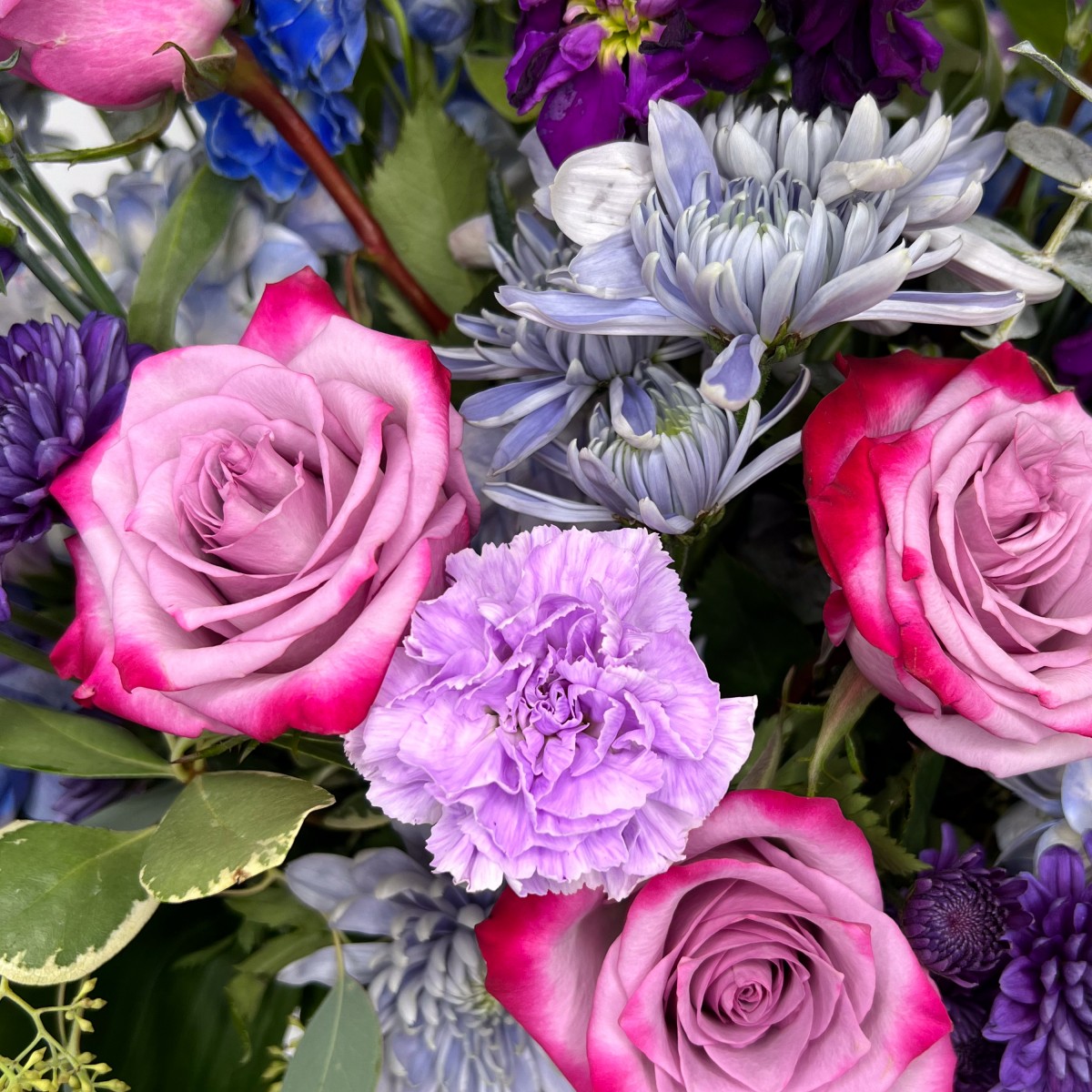 Lavender Dreams - Image 3