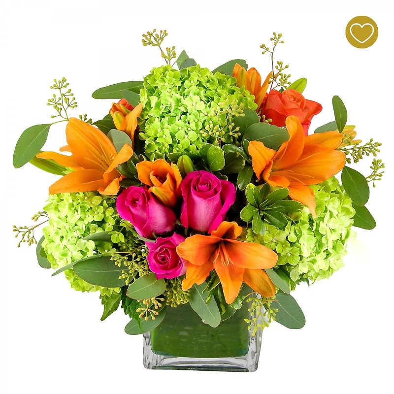 Dose of Color Package - Image 4