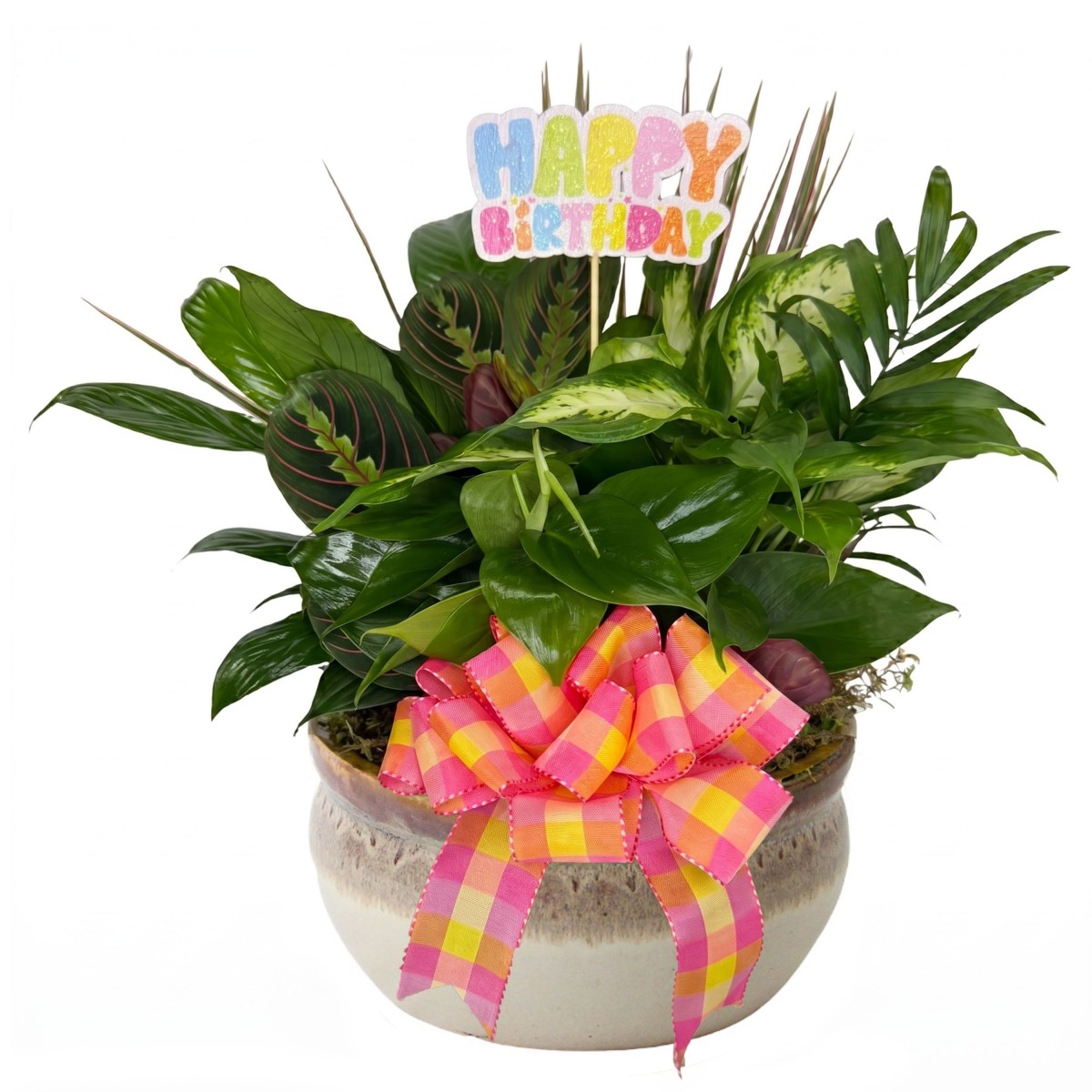 Natures Birthday Hug - Image 3