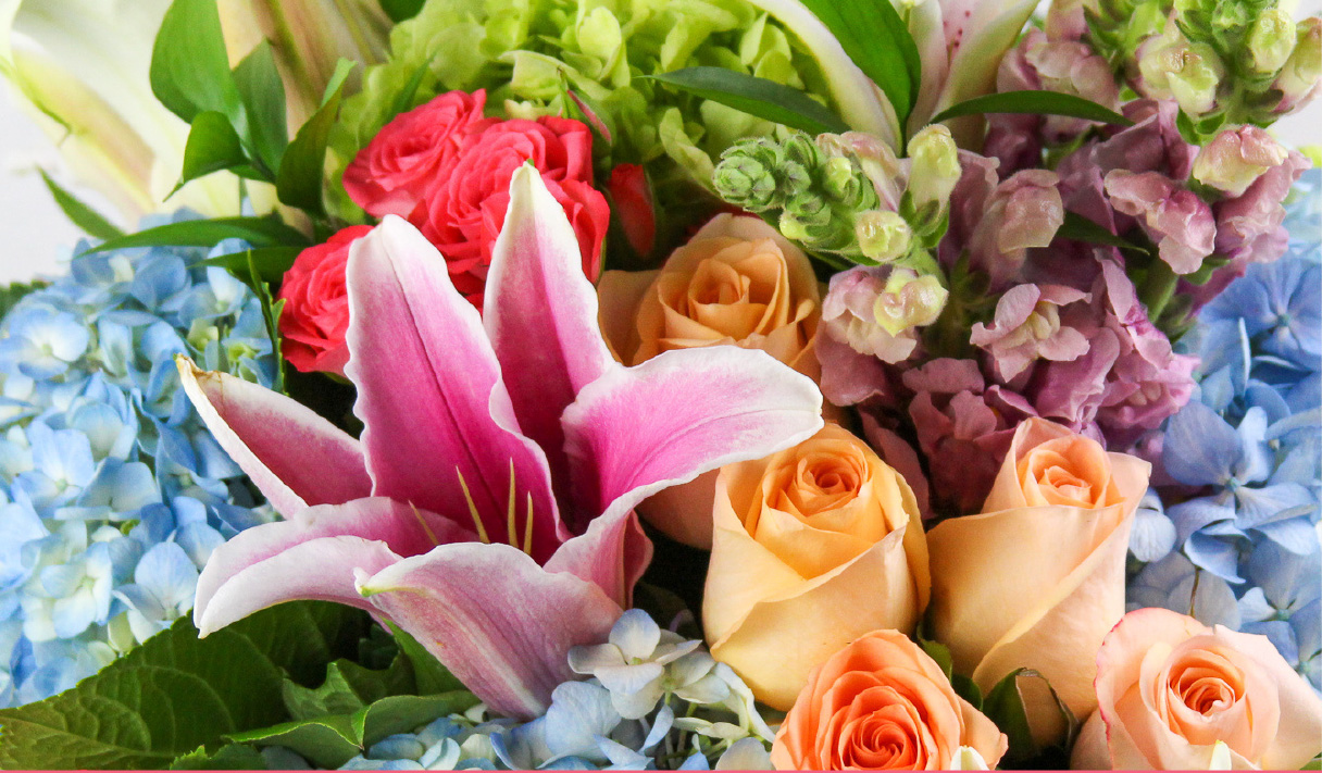 Kuhn Flowers Premium Fresh Floral Close Up