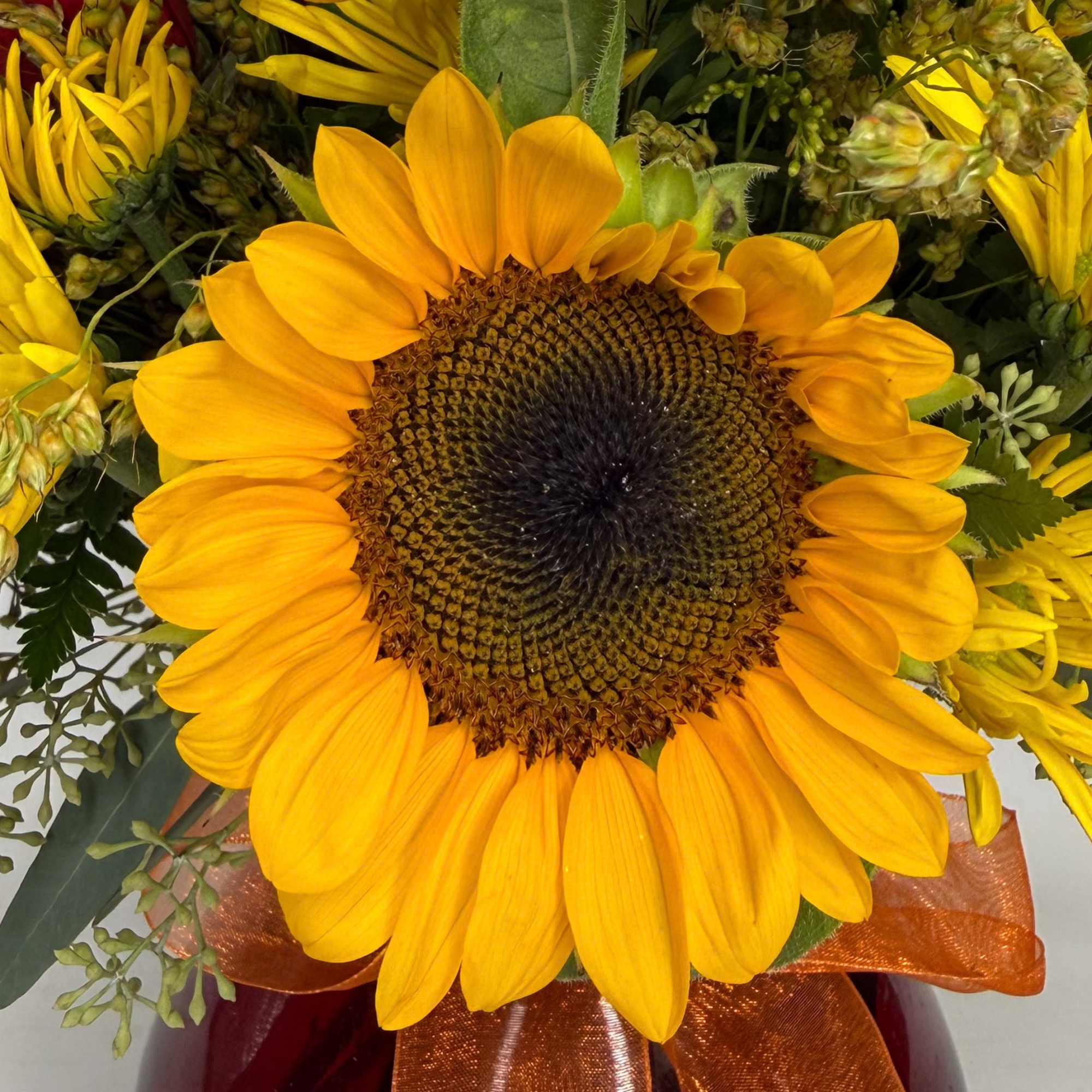Hello, Fall - Image 2